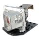 NP10LP Projector Lamp for NEC projectors