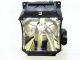 small_image_label-300531-OI58441