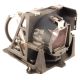 small_image_label-101058-55842