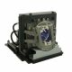 base_image_label-101074-61954