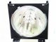 Genuine SHARP XV-101TU Projector Lamp - RLMPF0004CEN1