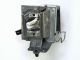 small_image_label-102442-67531
