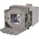 XX5050000500 Projector Lamp for VIVITEK DX251