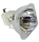 LIESEGANG DDV 2000 Ersatzlampe mit Gehäuse für - ZU1201 04 4010