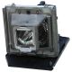 PANASONIC PT-AH1000E Ersatzlampe mit Gehäuse für - ET-LAA410