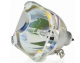KINDERMANN KX150 (Bulb Only) Ersatzlampe mit Gehäuse für - 7781