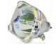 7781 Projector Lamp for KINDERMANN KX150 (Bulb Only)