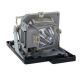 OPTOMA DAEXUSN Projector Lamp