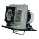 BL-FU220A / SP.83F01G.001 Projector Lamp for OPTOMA HD72