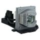 OPTOMA THEMESCENE HD710 Projector Lamp