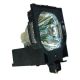 Projector Lamp for PROXIMA DP9790