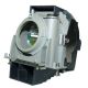 NP09LP / 60002444 / NP03LP / 50031756 Projector Lamp for NEC NP60