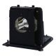 OPTOMA THEMESCENE H78DC3 Original Inside Projector Lamp - Replaces BL-FU250E / SP.L3703.001