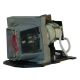BL-FU185A / SP.8EH01GC01 Projector Lamp for OPTOMA PRO150S