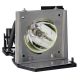 EC.J1001.001 Projector Lamp for ACER PD521D