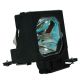 SONY VPL-PX31 Original Inside Projector Lamp - Replaces LMP-P201