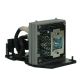 BL-FP200B TEKLAMPS Compatible lamp for OPTOMA projectors