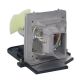 EC.J3901.001 Projector Lamp for ACER XD1250