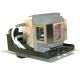 INFOCUS M1 Original Inside Projector Lamp - Replaces SP-LAMP-013