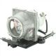 SAMSUNG SP-M251 Original Inside Projector Lamp - Replaces DPL3321U/EN