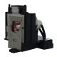 AN-D400LP Projector Lamp for SHARP PG-D40W3D