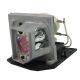 BL-FP230D / SP.8EG01GC01 Projector Lamp for OPTOMA TX615-3D