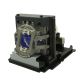 OPTOMA TH7500-NL Original Inside Projector Lamp - Replaces BL-FP330C / SP.8JN08GC01