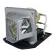 OPTOMA VDHDNS Original Inside Projector Lamp - Replaces BL-FP230J / SP.8MQ01GC01