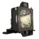 Genuine EIKI LC-WGC500 Projector Lamp - 610 342 2626 / POA-LMP125