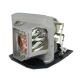 OPTOMA HD131Xe Original Inside Projector Lamp - Replaces SP.8VC01GC01 / BL-FU190E