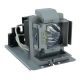 Genuine BENQ MW853UST Projector Lamp - 5J.J8M05.011