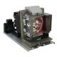 VIVITEK D803W-3D Original Inside Projector Lamp - Replaces 5811117901-SVV