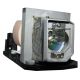 ACER DSV1133 Original Inside Projector Lamp - Replaces MC.JGL11.001