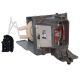 SP.72G01GC01 / BL-FU195A Projector Lamp for OPTOMA DX349