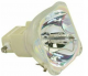 SAHARA S2600 Ersatzlampe mit Gehäuse für - 1730054