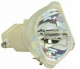 SAHARA PROTECTOR 1 (S3601) Ersatzlampe mit Gehäuse für - 1730029